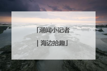 潮闻小记者｜海边拾趣