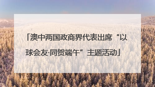 澳中两国政商界代表出席“以球会友·同贺端午”主题活动