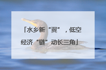 水乡新“翼”，低空经济“链”动长三角