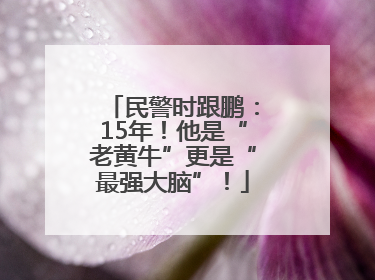 民警时跟鹏：15年！他是“老黄牛”更是“最强大脑”！