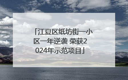 江夏区纸坊街一小区一年逆袭 荣获2024年示范项目