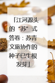 江河源头的“苏”式答卷：苏青文旅协作的种子已生根发芽