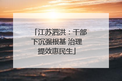 江苏泗洪：干部下沉强根基 治理提效惠民生