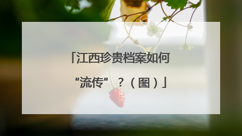 江西珍贵档案如何“流传”？（图）