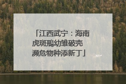 江西武宁：海南虎斑鳽幼雏破壳 濒危物种添新丁
