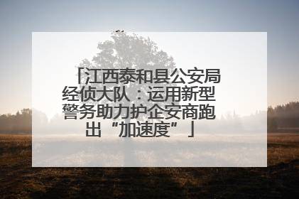 江西泰和县公安局经侦大队：运用新型警务助力护企安商跑出“加速度”