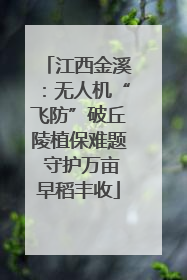 江西金溪：无人机“飞防”破丘陵植保难题 守护万亩早稻丰收