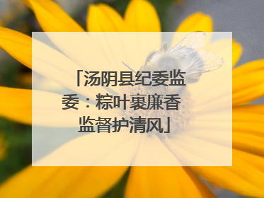 汤阴县纪委监委：粽叶裹廉香 监督护清风