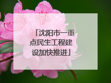 沈阳市一重点民生工程建设加快推进