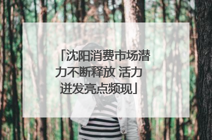 沈阳消费市场潜力不断释放 活力迸发亮点频现