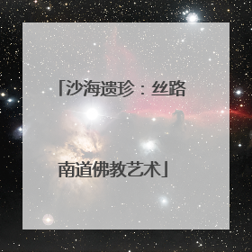 沙海遗珍：丝路南道佛教艺术