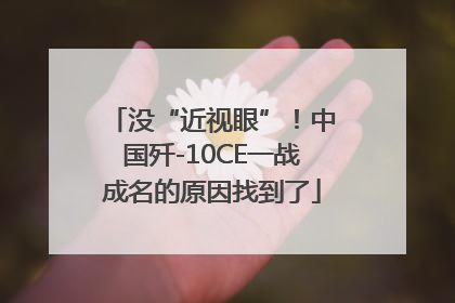 没“近视眼”！中国歼-10CE一战成名的原因找到了