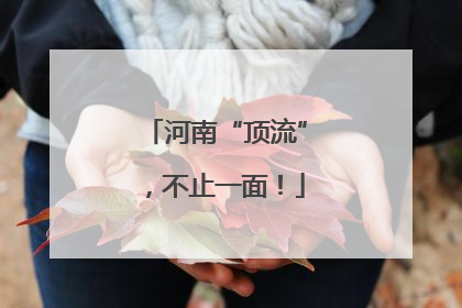 河南“顶流”，不止一面！