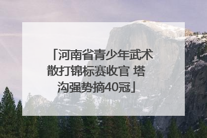 河南省青少年武术散打锦标赛收官 塔沟强势摘40冠