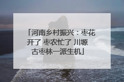 河南乡村振兴：枣花开了 枣农忙了 川塬古枣林一派生机