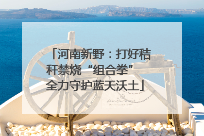 河南新野：打好秸秆禁烧“组合拳” 全力守护蓝天沃土
