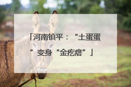 河南镇平：“土蛋蛋”变身“金疙瘩”