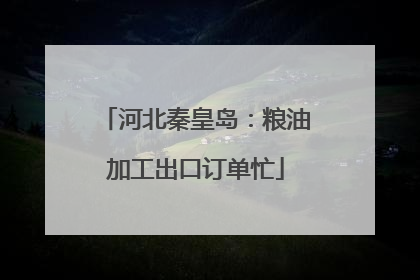 河北秦皇岛：粮油加工出口订单忙