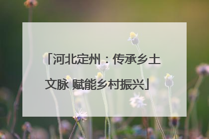 河北定州：传承乡土文脉 赋能乡村振兴