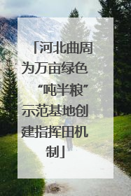 河北曲周为万亩绿色“吨半粮”示范基地创建指挥田机制