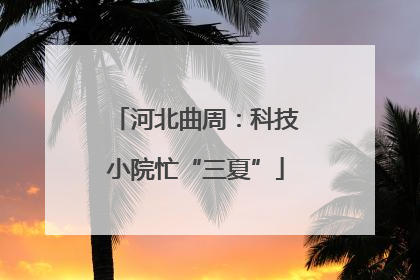 河北曲周：科技小院忙“三夏”