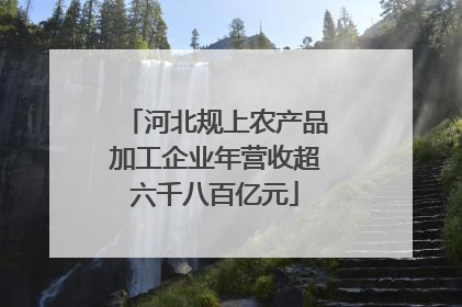 河北规上农产品加工企业年营收超六千八百亿元