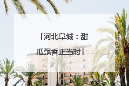 河北阜城：甜瓜飘香正当时