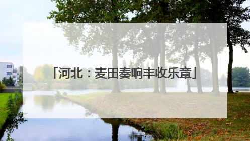 河北：麦田奏响丰收乐章