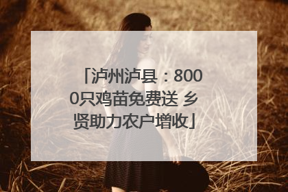 泸州泸县：8000只鸡苗免费送 乡贤助力农户增收