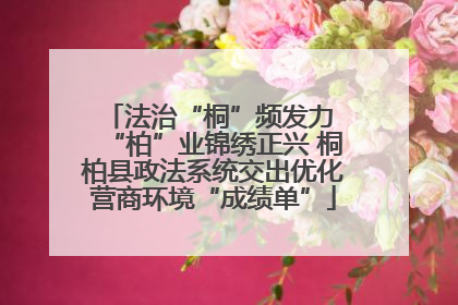 法治“桐”频发力 “柏”业锦绣正兴 桐柏县政法系统交出优化营商环境“成绩单”