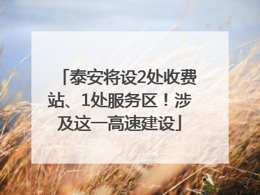 泰安将设2处收费站、1处服务区！涉及这一高速建设