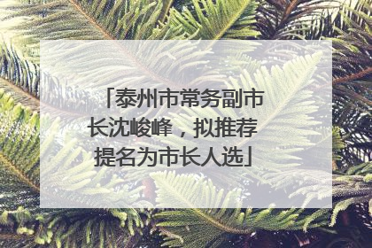 泰州市常务副市长沈峻峰，拟推荐提名为市长人选