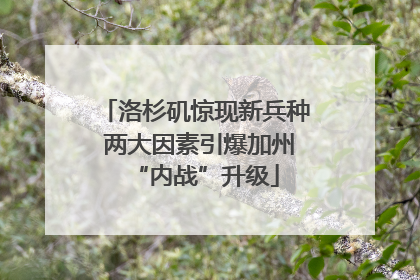 洛杉矶惊现新兵种 两大因素引爆加州“内战”升级