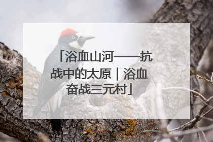 浴血山河——抗战中的太原｜浴血奋战三元村