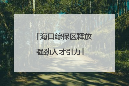 海口综保区释放强劲人才引力