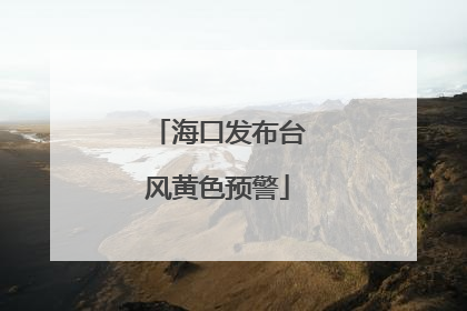 海口发布台风黄色预警