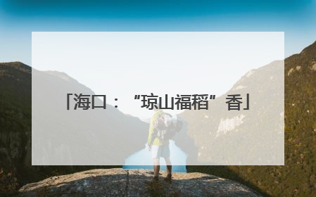 海口：“琼山福稻”香