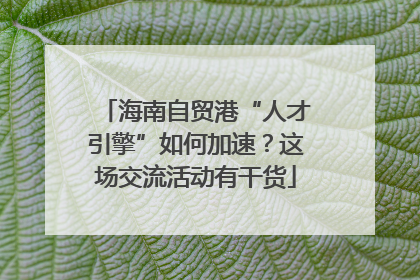 海南自贸港“人才引擎”如何加速？这场交流活动有干货