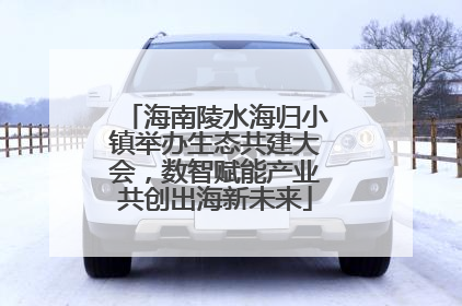 海南陵水海归小镇举办生态共建大会，数智赋能产业共创出海新未来