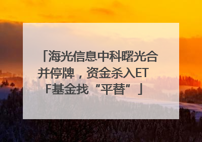 海光信息中科曙光合并停牌，资金杀入ETF基金找“平替”