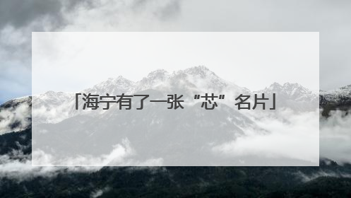 海宁有了一张“芯”名片
