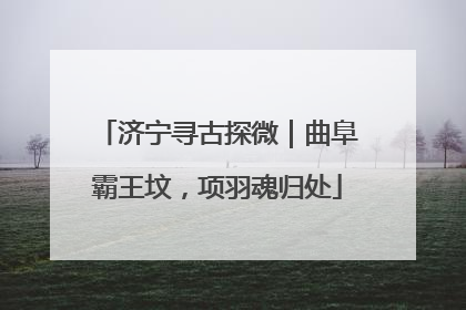 济宁寻古探微｜曲阜霸王坟，项羽魂归处