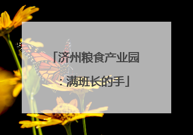 济州粮食产业园：满班长的手