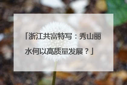 浙江共富特写：秀山丽水何以高质量发展？
