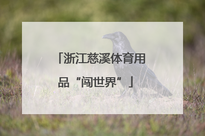 浙江慈溪体育用品“闯世界”