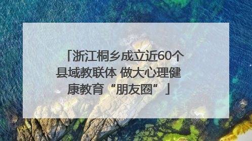 浙江桐乡成立近60个县域教联体 做大心理健康教育“朋友圈”