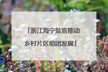 浙江海宁盐官推动乡村片区组团发展