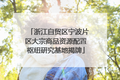 浙江自贸区宁波片区大宗商品资源配置枢纽研究基地揭牌