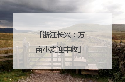 浙江长兴：万亩小麦迎丰收