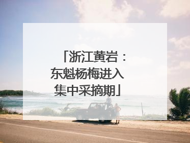 浙江黄岩：东魁杨梅进入集中采摘期